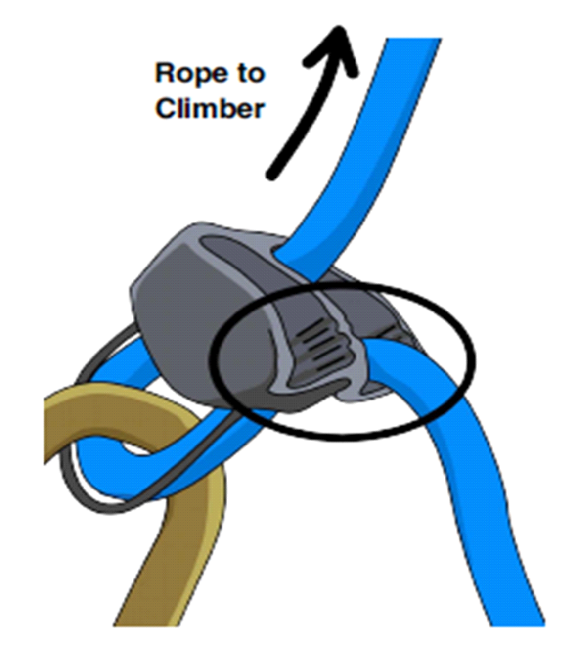 Filarea cu Cosulet la ham