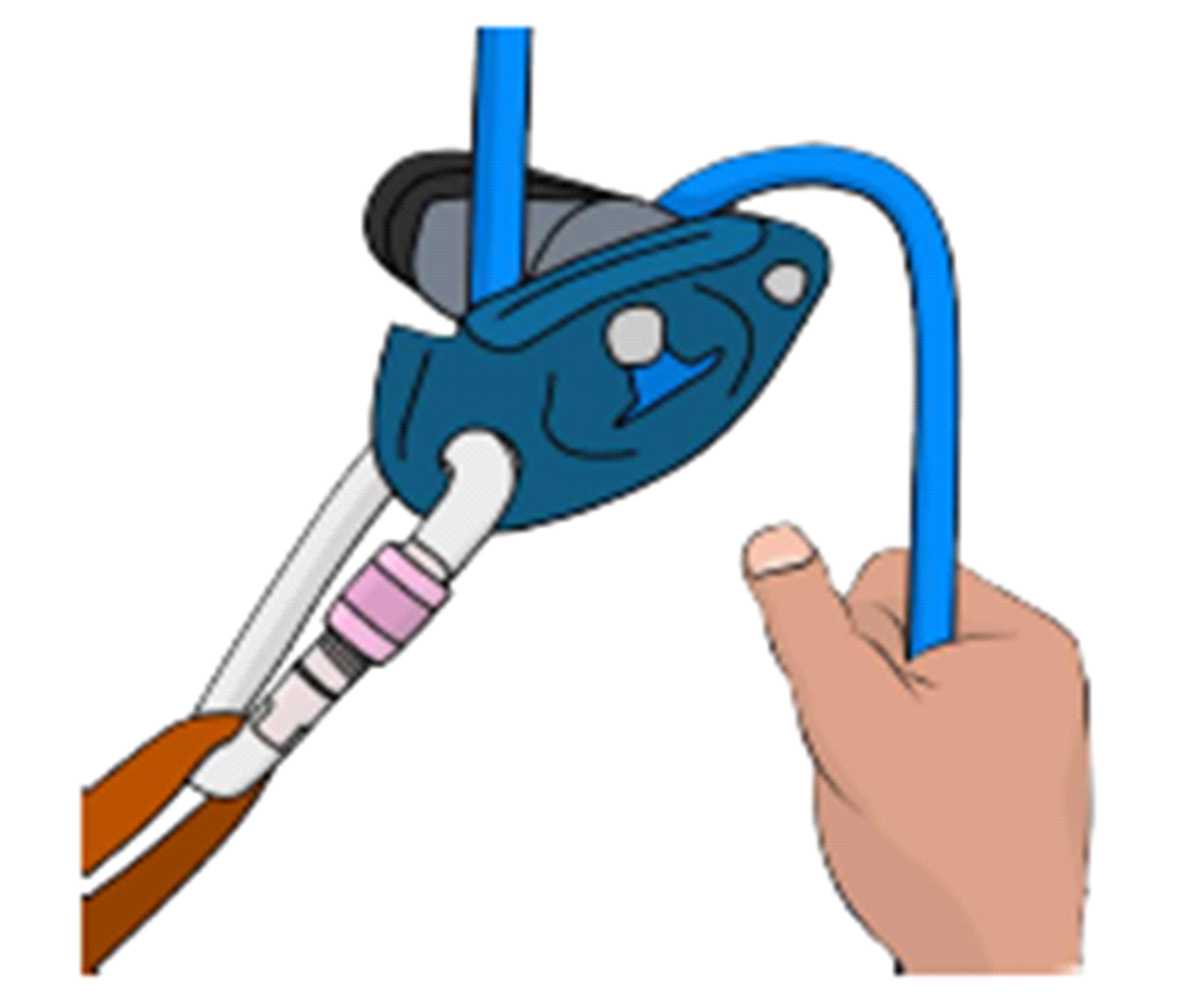 Filarea cu GriGri la ham