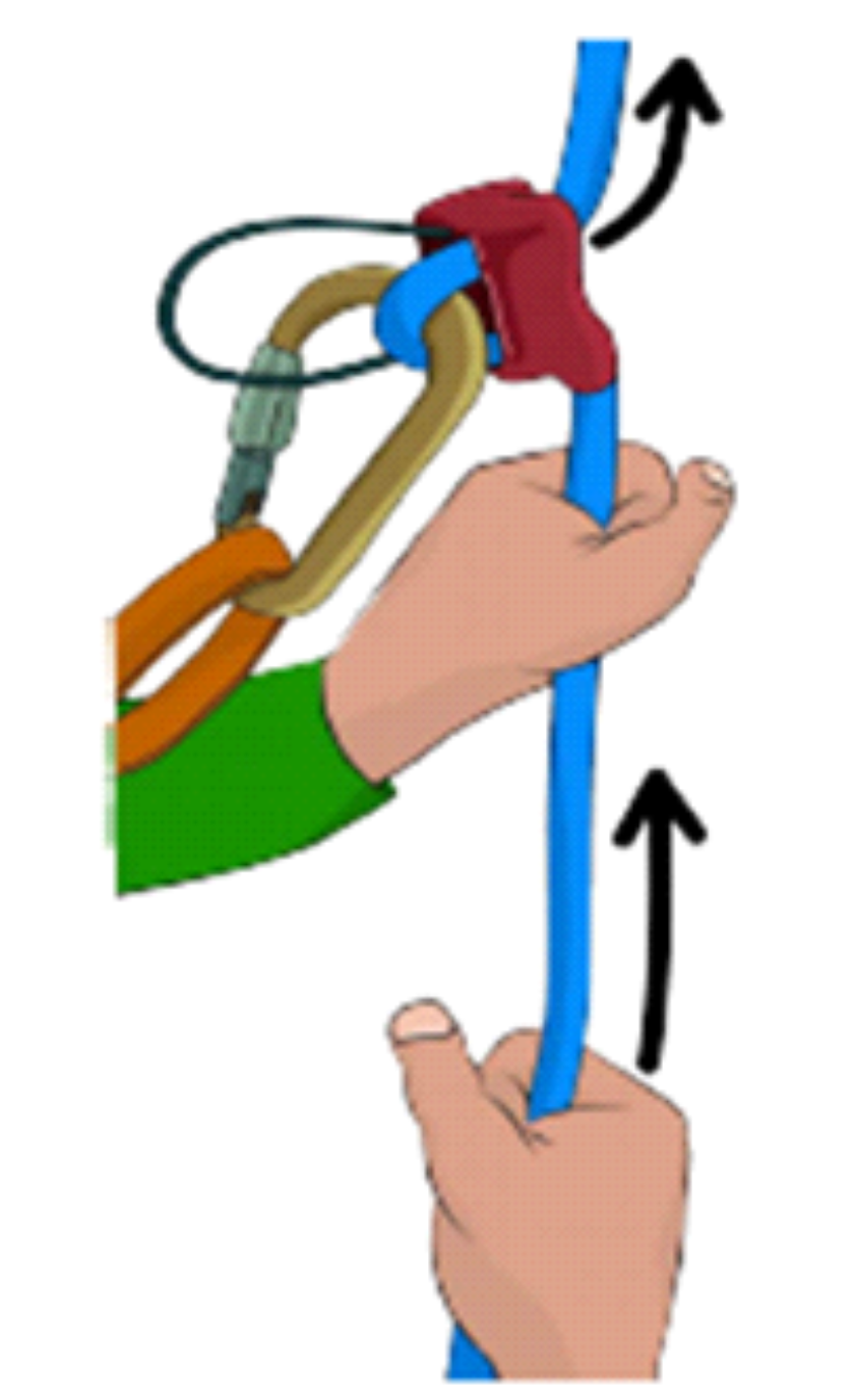 PBUS - Under + Slide