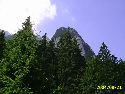 20140403160907-e945a4cc-e8b99882f5