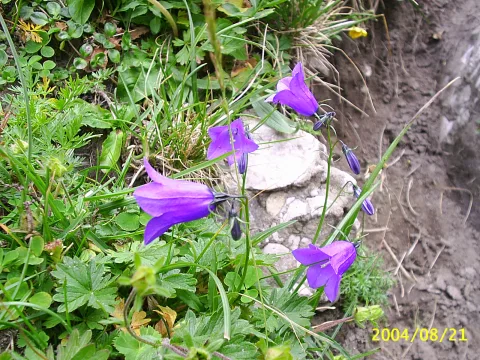 20140403160910-96997b1a-16dbb73b42