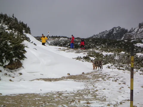 20140406163632-22840887-0167054ed6