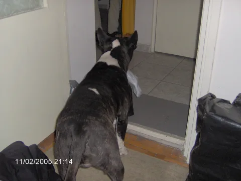 20140406164059-bc167c35-d05ea14eb1