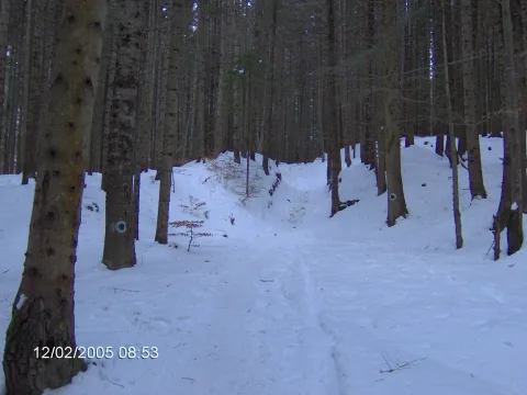 20140406164141-d35252d3-c1824c035c