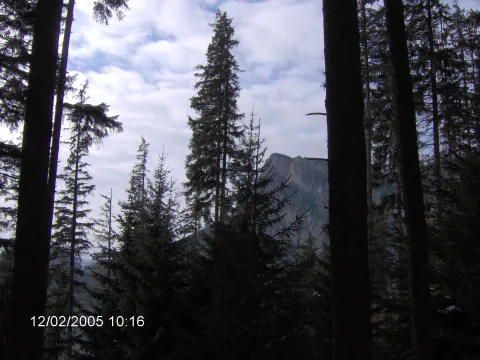20140406164202-7ad74b11-38c47c8ecf