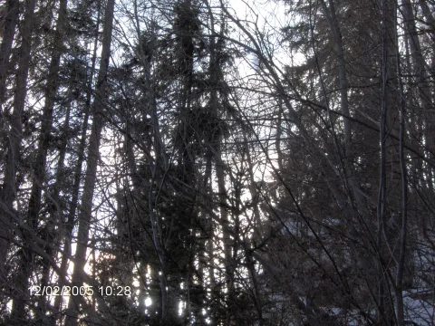 20140406164219-2fef7706-94bce24af8