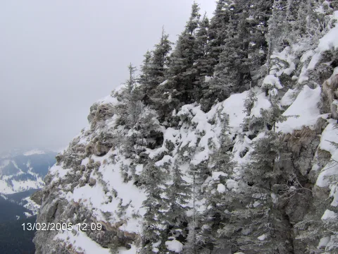 20140406164902-46dd46ae-0508a2f2f7