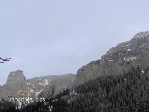 20140406164936-739938f0-66935f717d