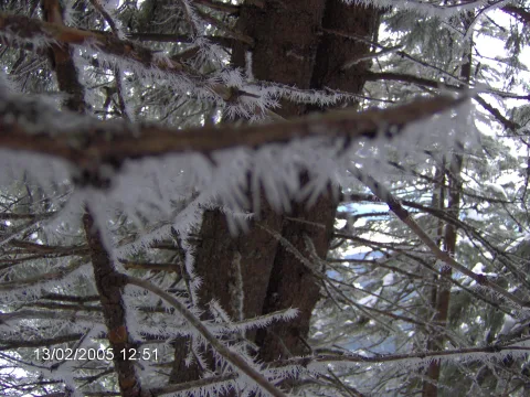 20140406164942-53c8bb92-e2735794bf