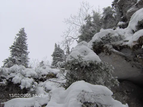 20140406164954-4dbc9967-caa85160bd