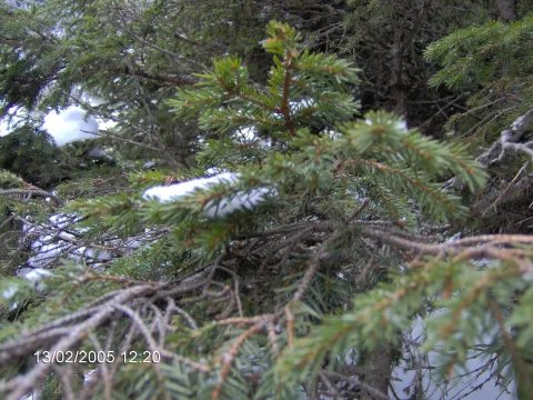 20140406165411-92dee82e-3870e897b7