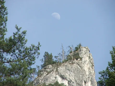 20140406170810-60399561-e405210365