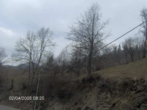 20140406170025-d4e49827-e114d8dc93