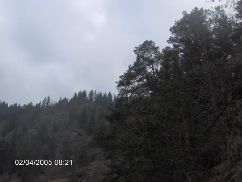 20140406170028-0af744ba-5195ca5510