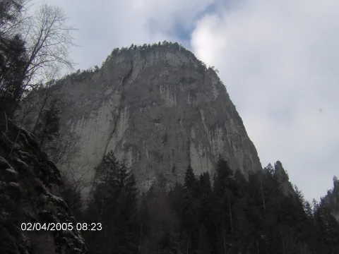20140406170043-09627e54-c8099417bf