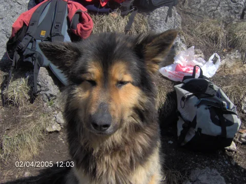 20140406170245-c9cdcd44-959608f362