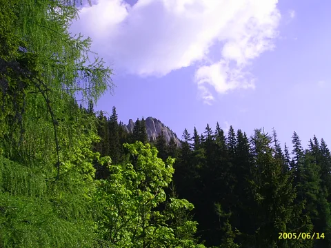 20140406172019-95d3db7f-7486c25a2a