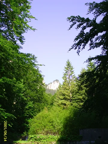 Ceahlau