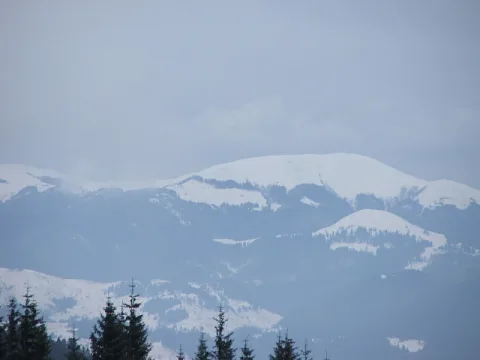 20140406163322-612cad14-4cf5f865c4