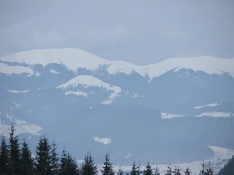 20140406163323-591e3d41-4531eb451e