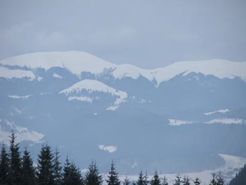 20140408120148-839183d5-db6905ca42