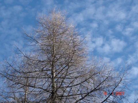 20140408183627-1ab0d51d-d30e50e3fe