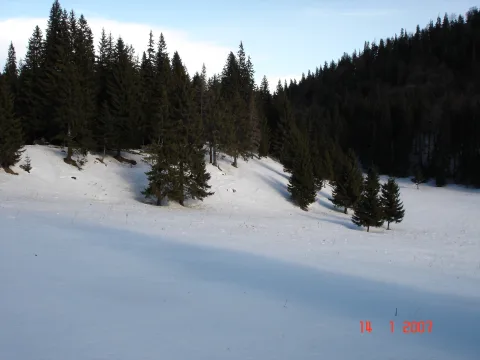 20140408183756-473e13d2-2e80b0a02e