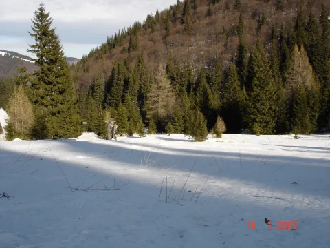20140408183802-9b5cad61-66ce716967