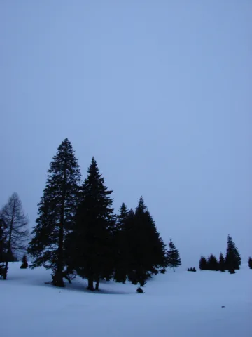 20140408184103-edffa9ec-1d5070bf84