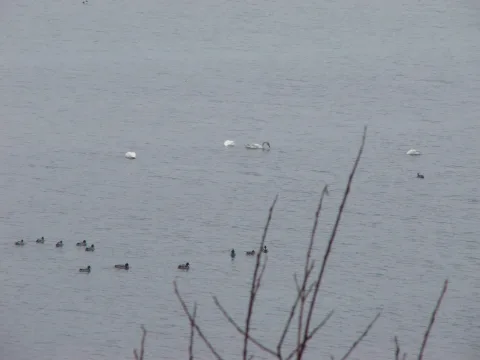 20140408122912-8f935943-25bd741474
