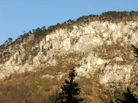 Herculane