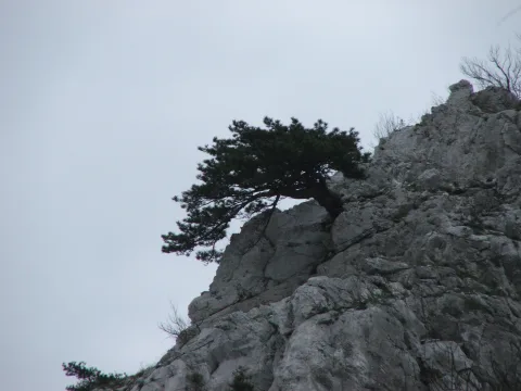 20140408124412-40f70af3-22edd63bdd
