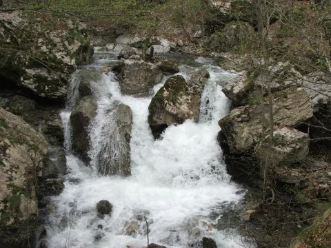 20140408124453-0bcc2e0d-f428e28f4e