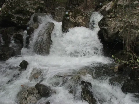 20140408124458-3228b807-64bef0ca90