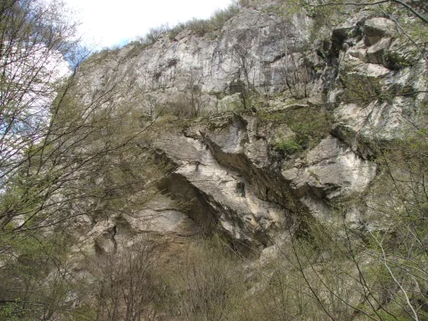 20140408124830-fc21ea77-e92f3aefed