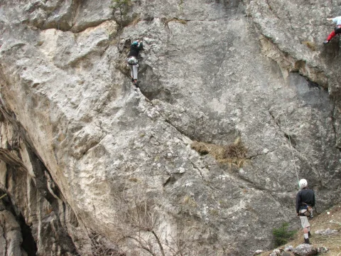 20140408123721-c737ee02-fa6544ba08