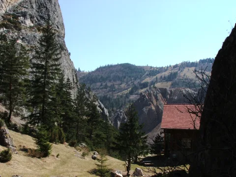 Cheile Sugaului