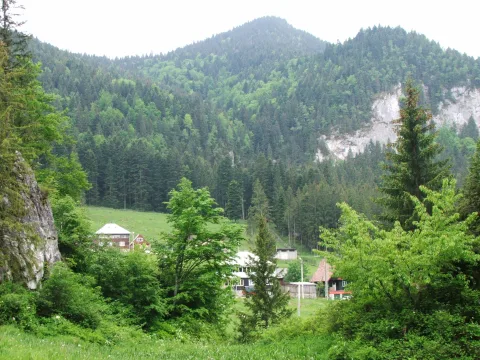 Lacu Rosu