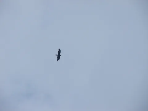 20140408130502-b4433705-8c0c0b7bf6