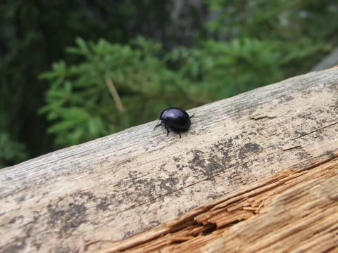 20140408131241-ffa237e5-62fcd3fef9