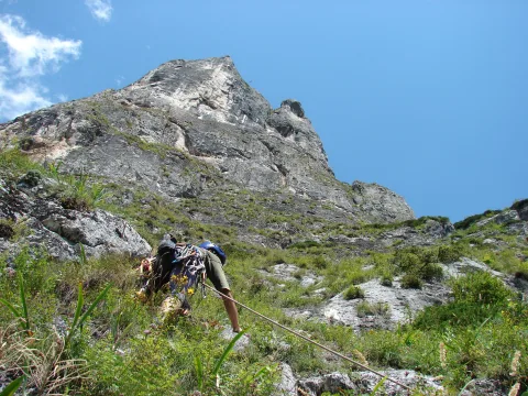 20140408131630-84d29876-f2685460cc