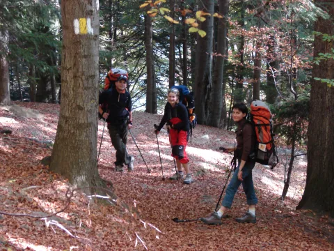 Piatra Craiului