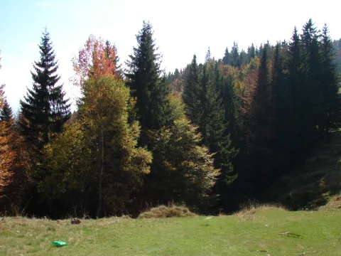 20140408152757-5fd1993d-cbdbbc19bf
