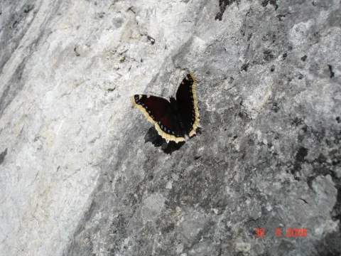 20140408142000-48905b47-ff6a514340