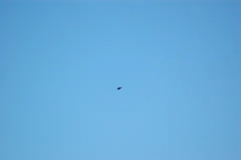 20140411125132-223f9bfa-d23c5d0330