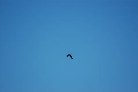 20140411125203-c86cbd8b-e67f6f90b0