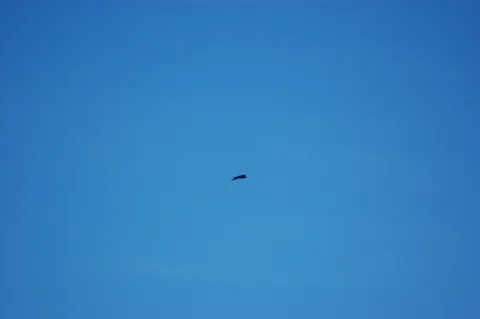 20140411125219-2933f608-e1029d25fc