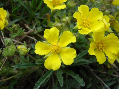 20140414145000-ce85807d-1971bd71a1