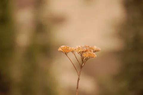 20140414150326-6366ae2f-59118c95f9