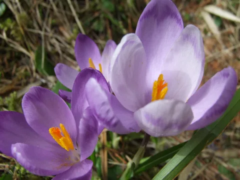 20140414153219-db171c58-1f82dee8ab